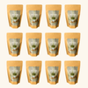 Matcha Milk Tea Powder DIY Instant Bubble Tea Kit HAKUMORI Case of 12 (144 Drinks)